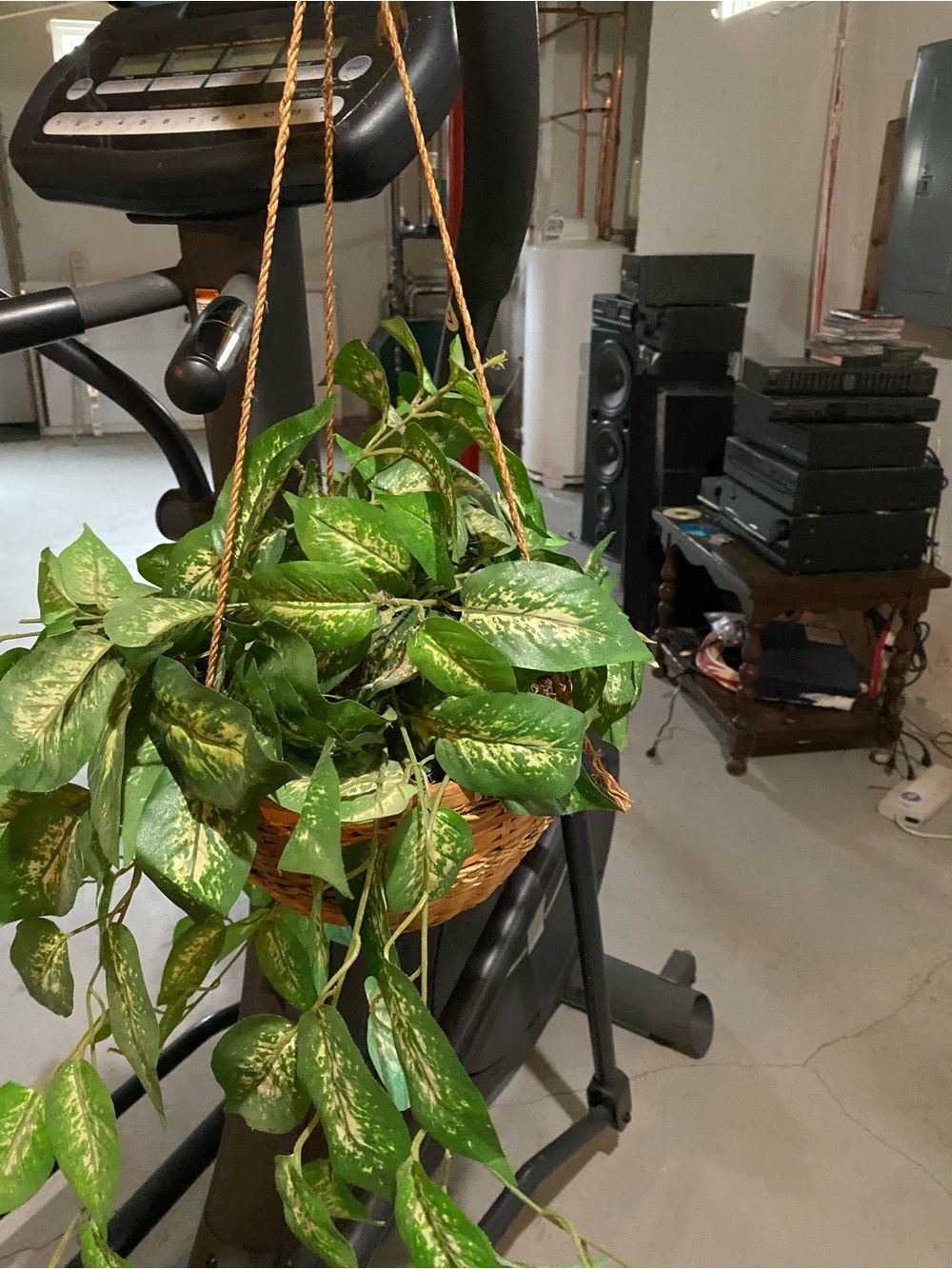 Woven Hanging Basket with Green Foliage - Natural Accent